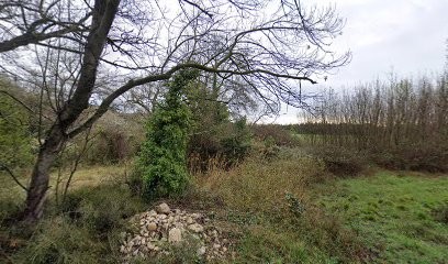 Séverine MOULIS, Avocat, Avocat aux Angles