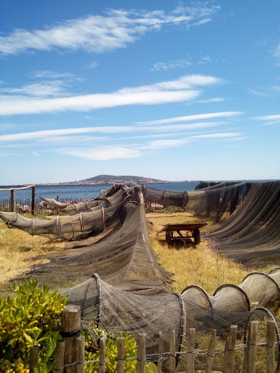 Avocat Sète François QUINTARD, Avocat à Sète