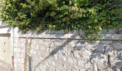 Cesari Valentin, Avocat à Nice