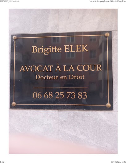 Elek Brigitte Avocat, Avocat à Saint-Julien-en-Genevois
