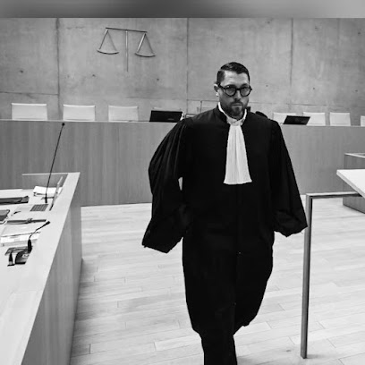 Cabinet D'avocat Fabien Large Avocat à Perpignan