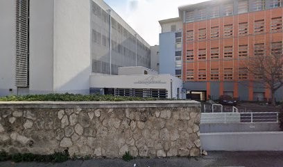 Lazzarini Laurent, Avocat à Marseille 12