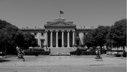 FOCUS Avocats, Avocat à Marseille 06