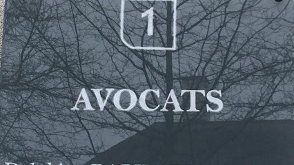 Rabiller Delphine Selarl, Avocat à Vannes