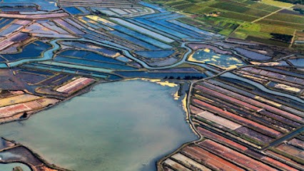 KPMG Avocats Lagord - La Rochelle, Avocat à Lagord